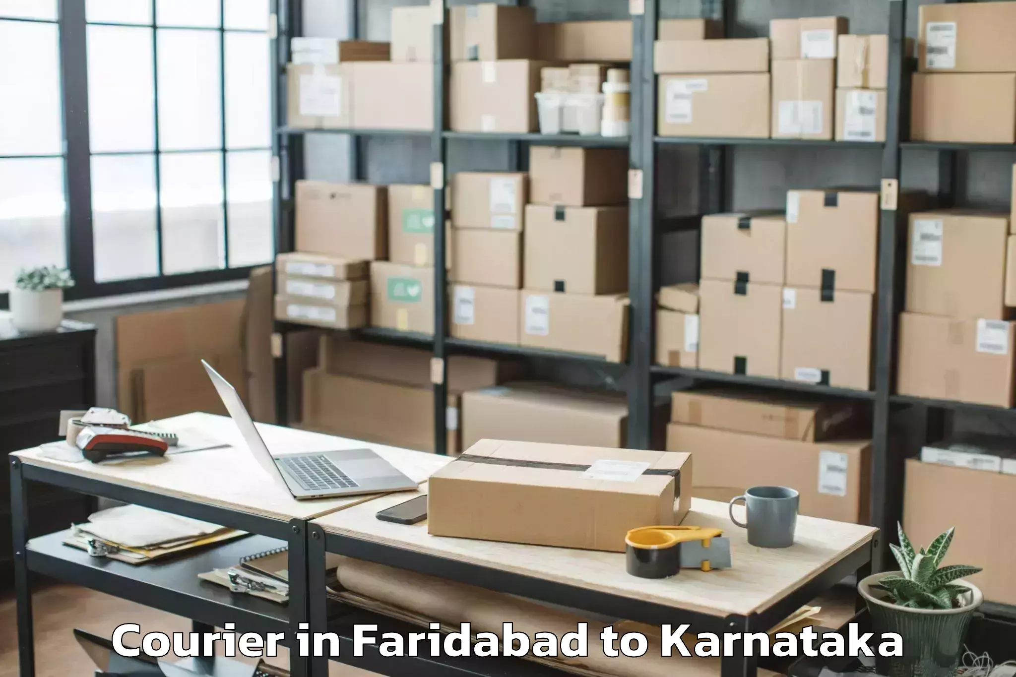 Quality Faridabad to Munuvalli Courier